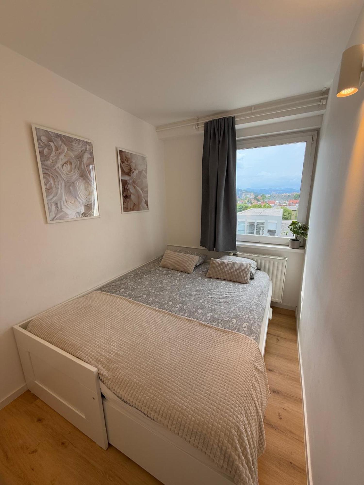 Elite Vista-with Parking Apartment Laibach